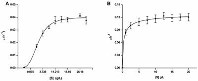 Phenol Is the Initial Product Formed during Growth and Degradation of Bromobenzene by Tropical Marine Yeast, Yarrowia lipolytica NCIM 3589 via an Early Dehalogenation Step